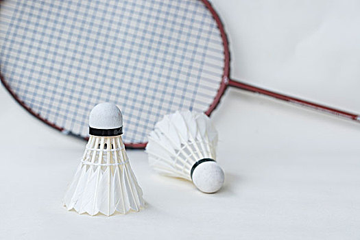 的美术完成 的美术完成